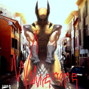 Wolverine Box Art Cover