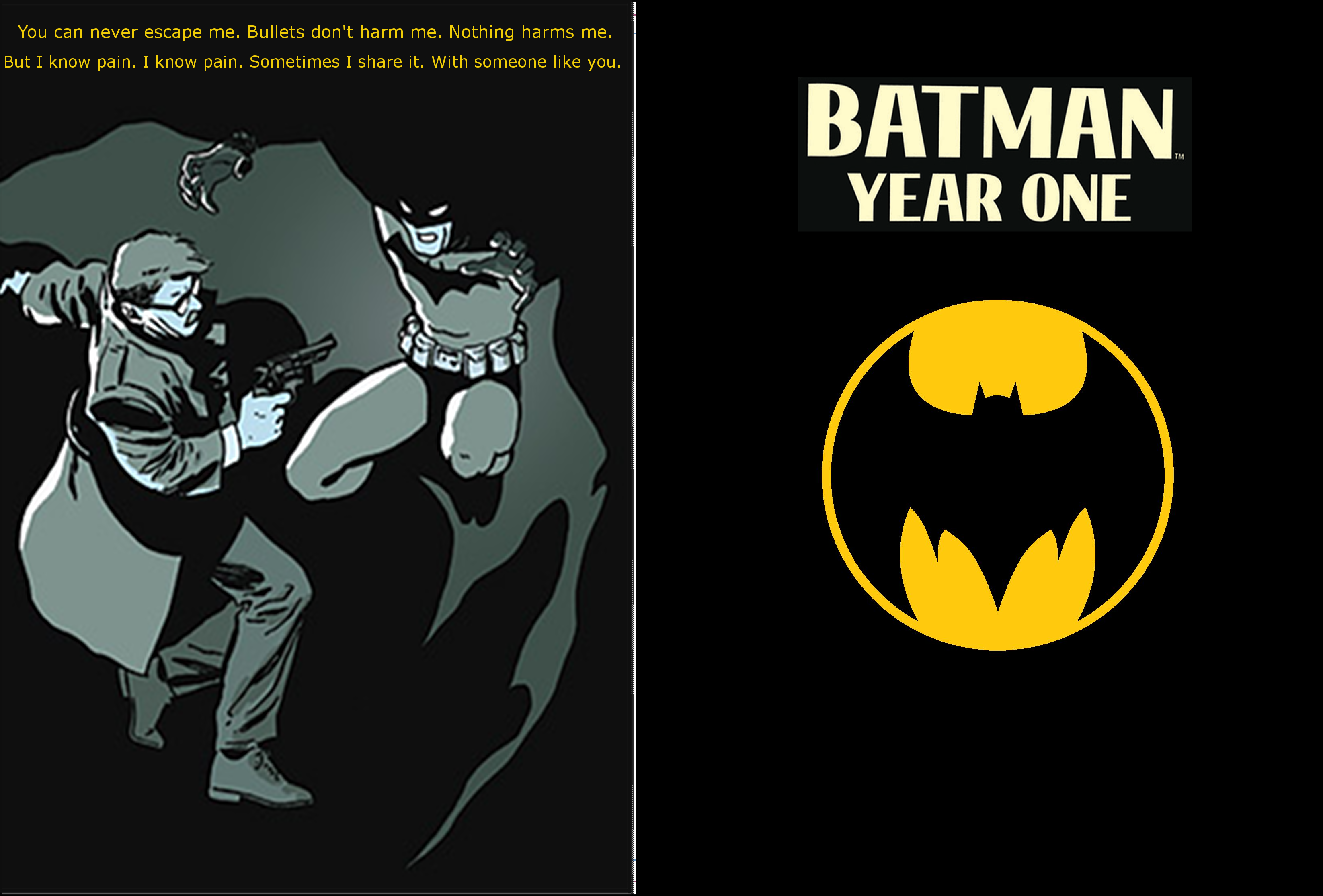 Batman: Year One box cover