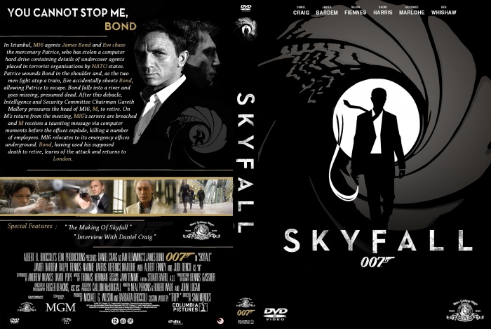 Skyfall box art cover