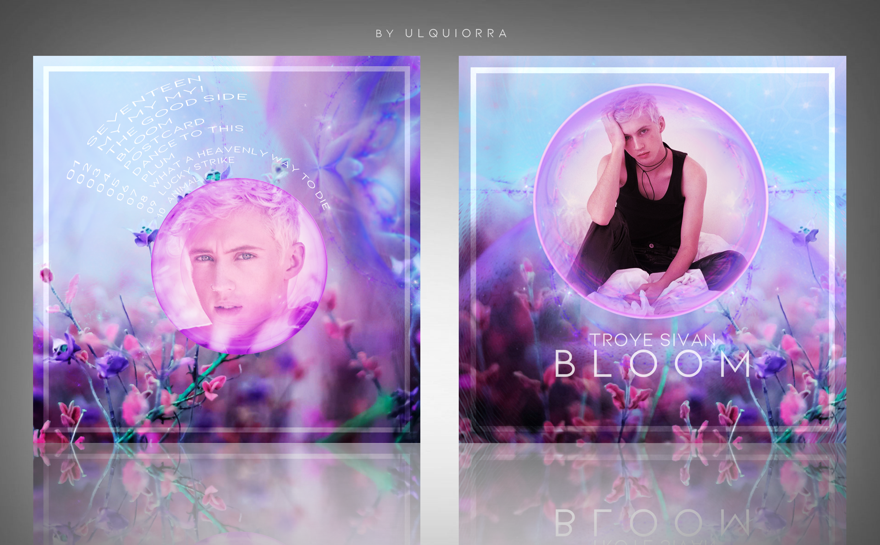 Bloom box cover