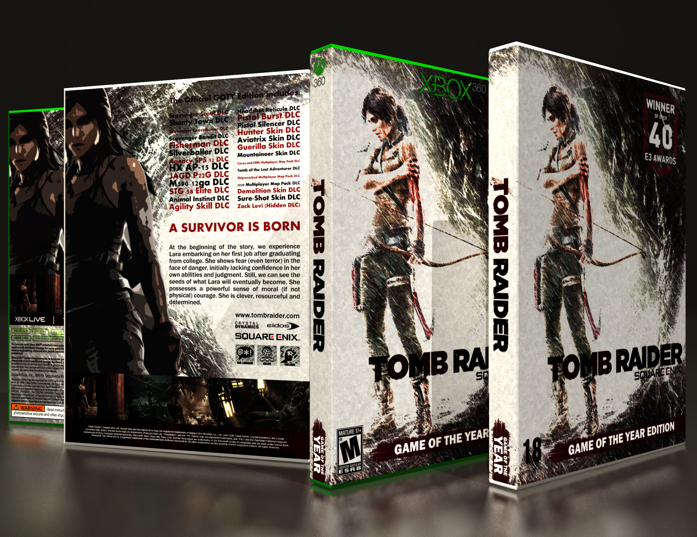 Tomb Raider GOTY box cover