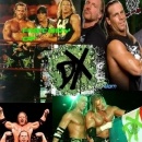 WWE Presents: History of D Generation X Box Art Cover