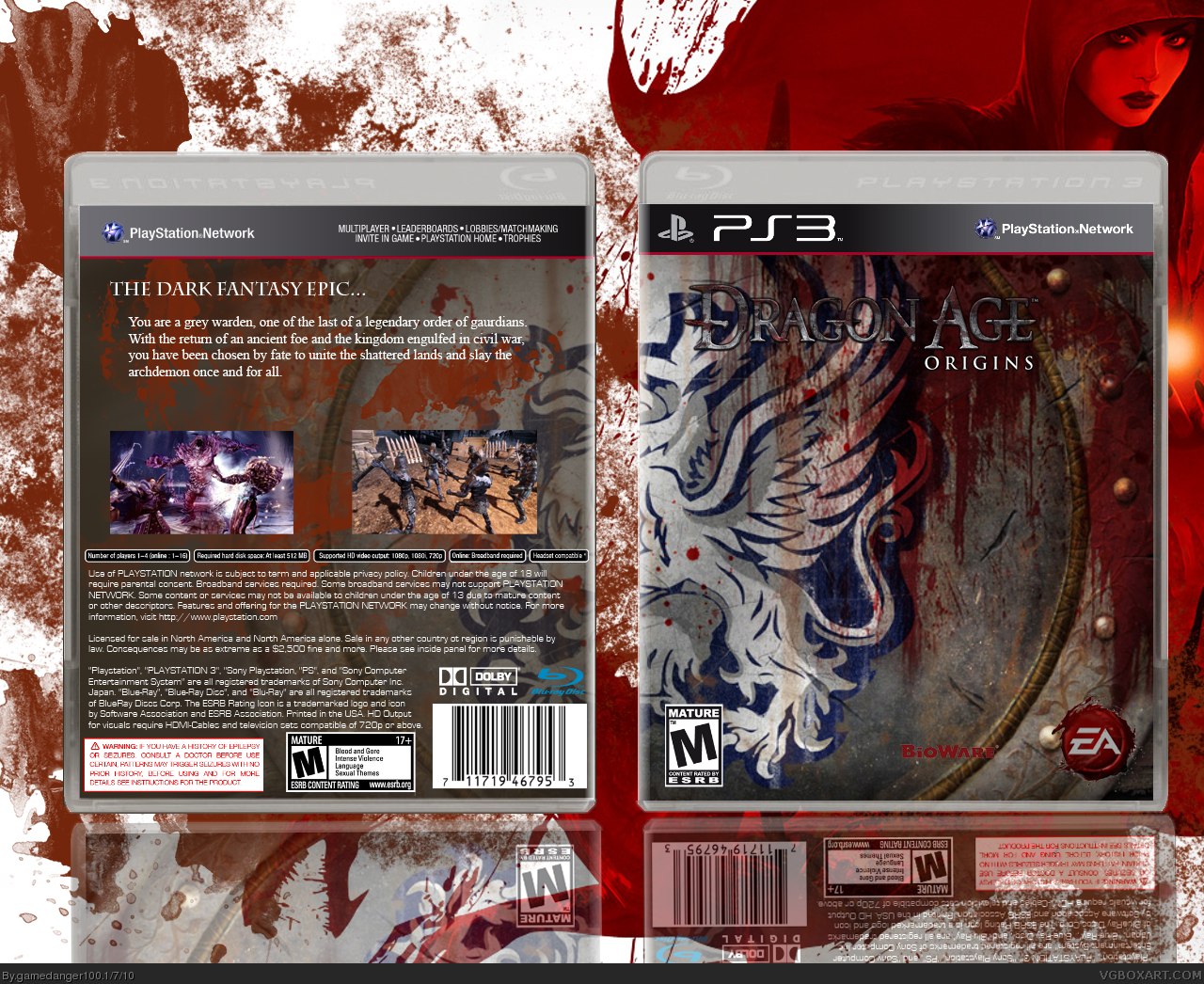 Dragon Age: Origins box cover