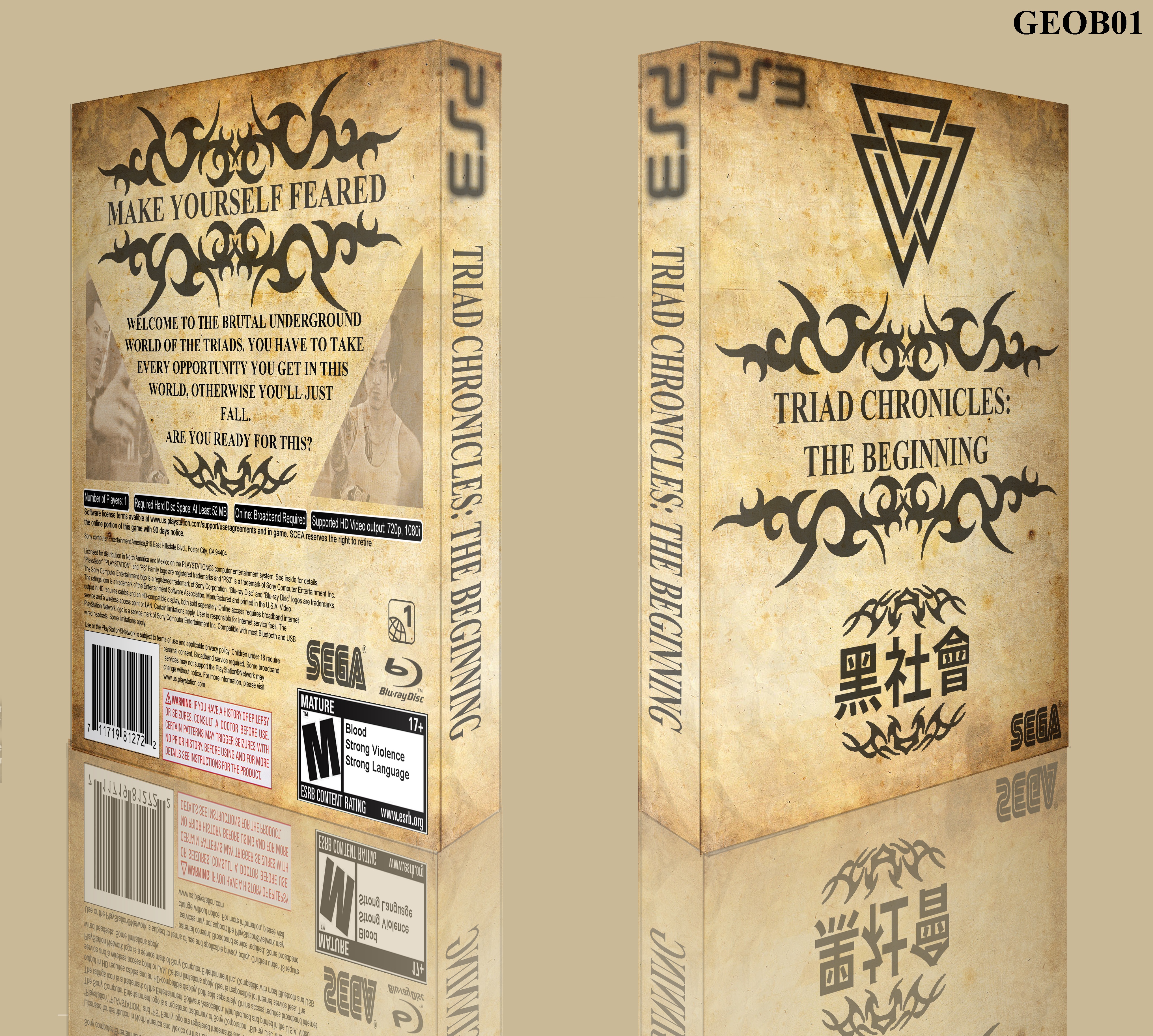 Triad Chronicles: The Beginning box cover