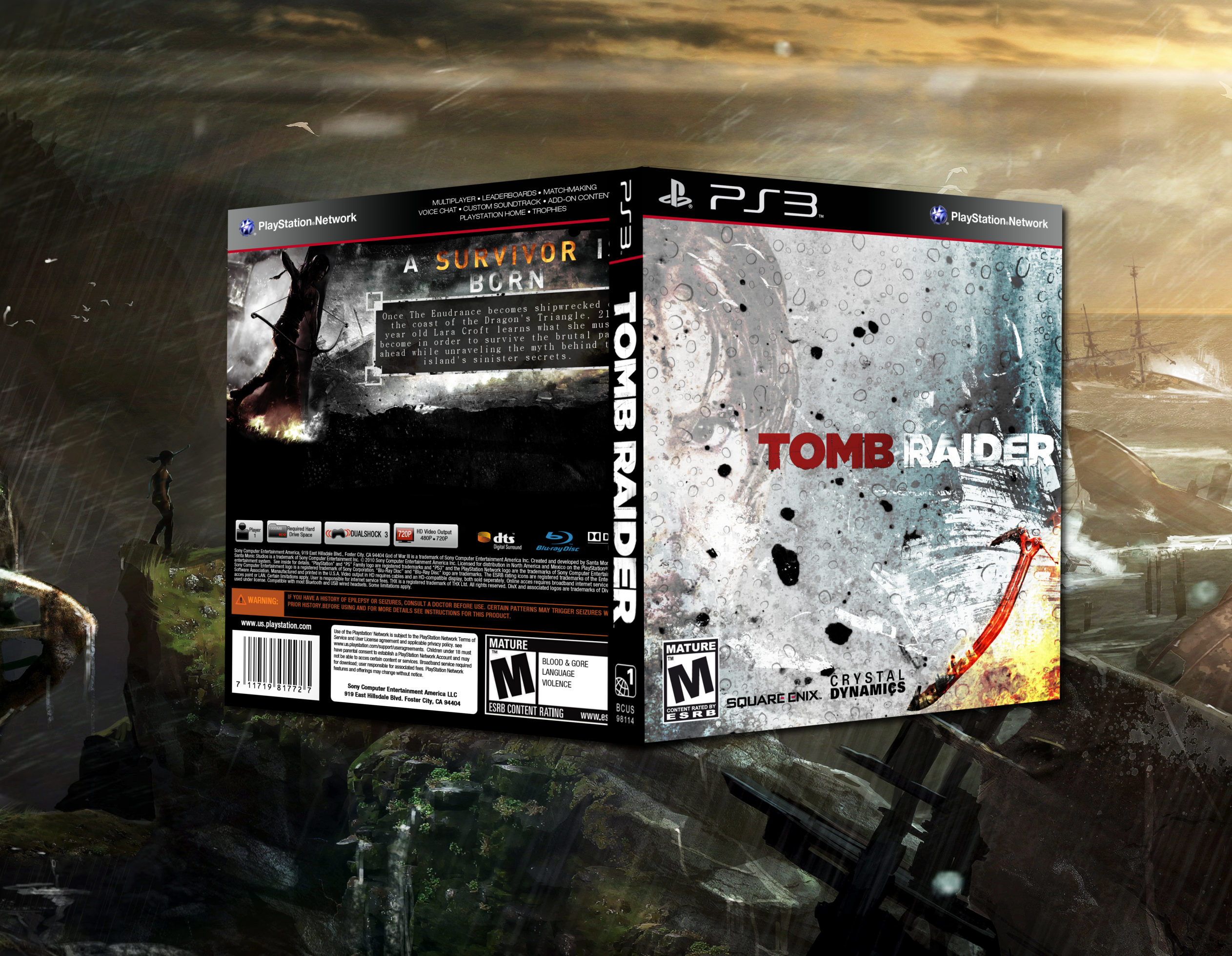 Tomb Raider 2013 box cover