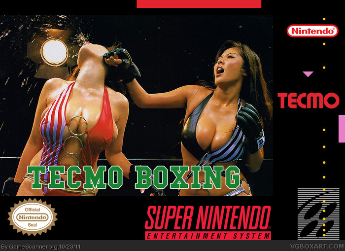 Tecmo Boxing box art cover