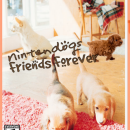 Nintendogs: Friends Forever Box Art Cover