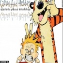 Calvin And Hobbes Box Art Cover
