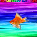 3D Rainbow Goldfish Box Art Cover