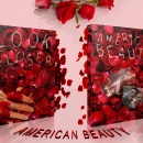 American Beauty Box Art Cover