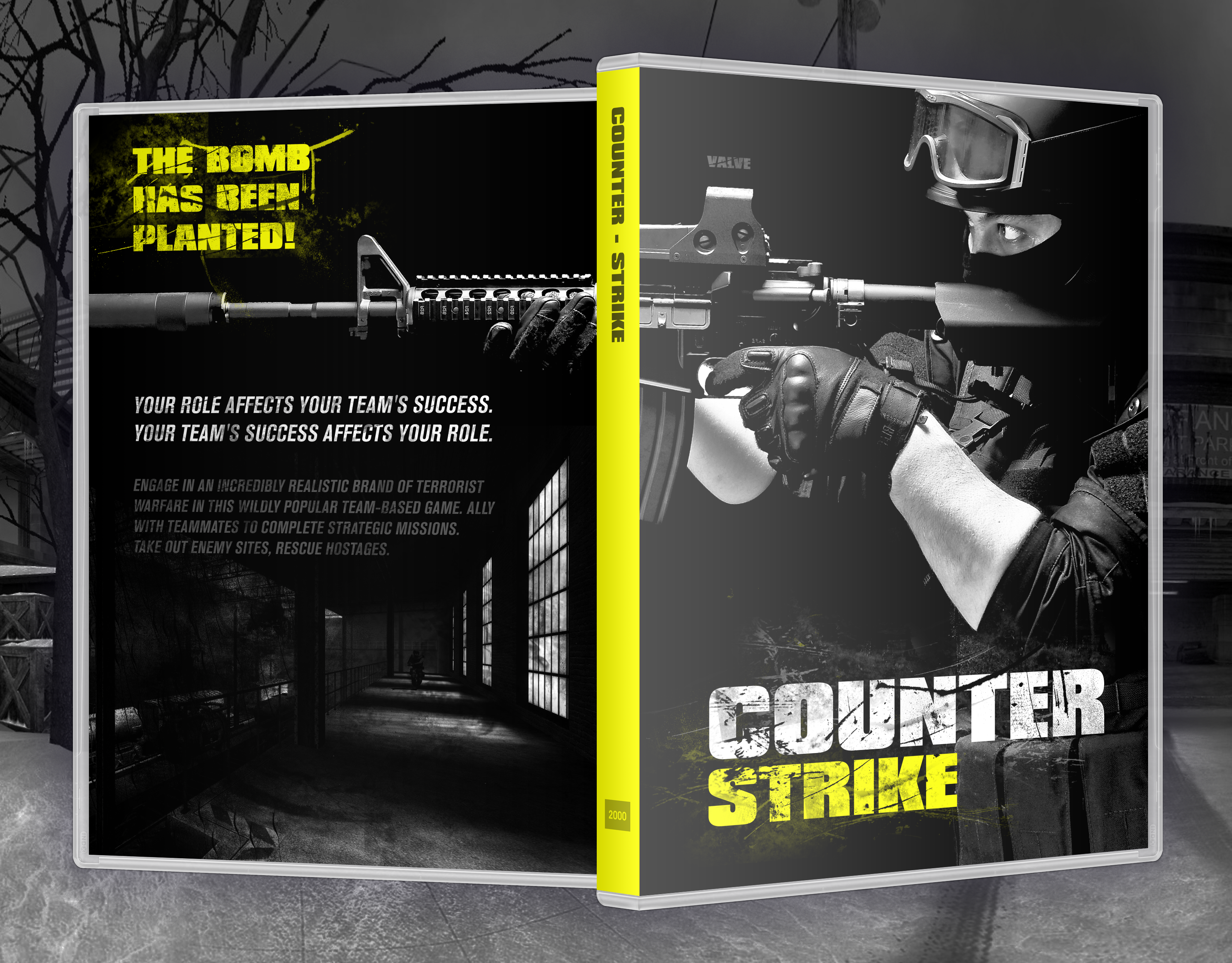 Counter Strike box cover