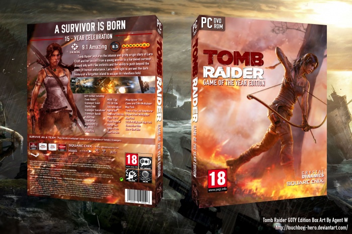 Tomb Raider Game of the Year Edition box art cover