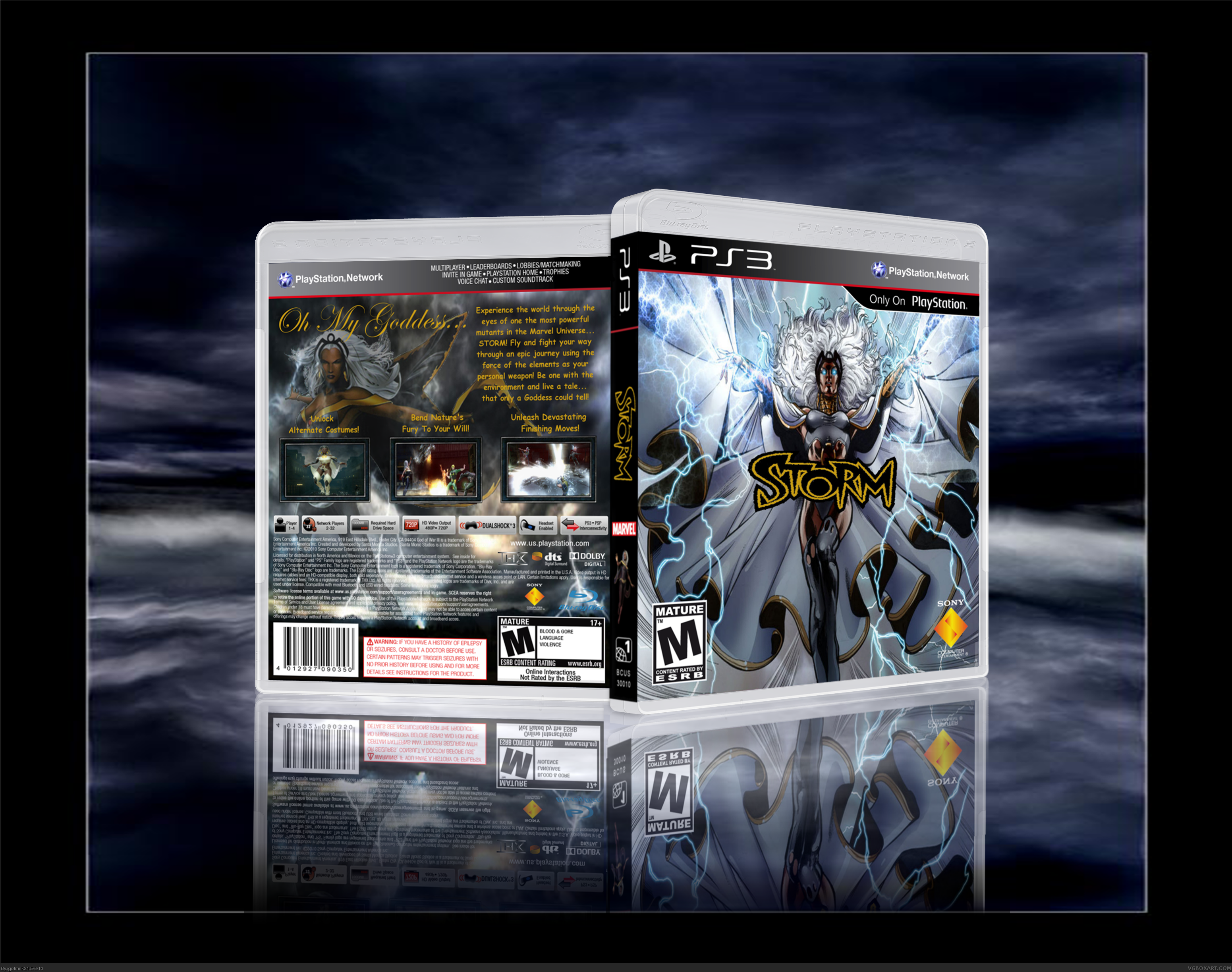 Storm box cover