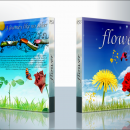 Flower Box Art Cover
