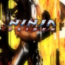 Ninja Gaiden Box Art Cover