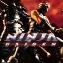Ninja Gaiden Box Art Cover
